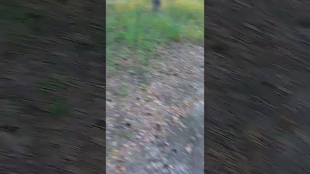 Массовые захоронения 37-38 г смотреть онлайн