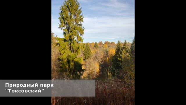 10. От щита «Мохообразные природного парка» до щита «Следы зверей» смотреть онлайн