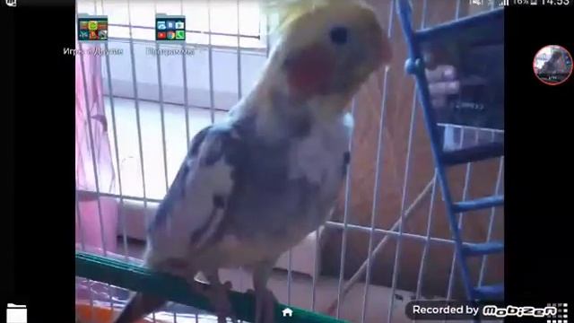 Как изменить рисунок на планшете и на телефонах смотреть онлайн