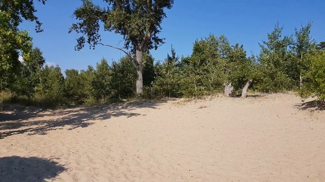 Остров Нечунаевский  пляжный  лагерь