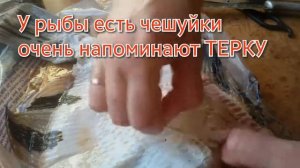 Больше НЕ БУДУ чистить КАМБАЛУ! Готовим вкусную рыбу КАМБАЛА.