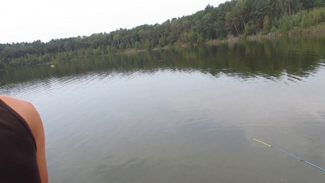 ЦЕ ШОК тільки закинув і почалося , ловля товстолоба на поплавок та технопланктон . смотреть онлайн
