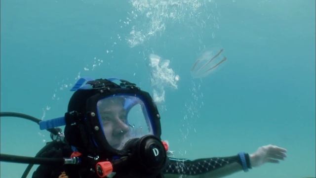 Google voice search experiments: underwater смотреть онлайн