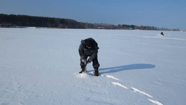 рыбалка дубна смотреть онлайн