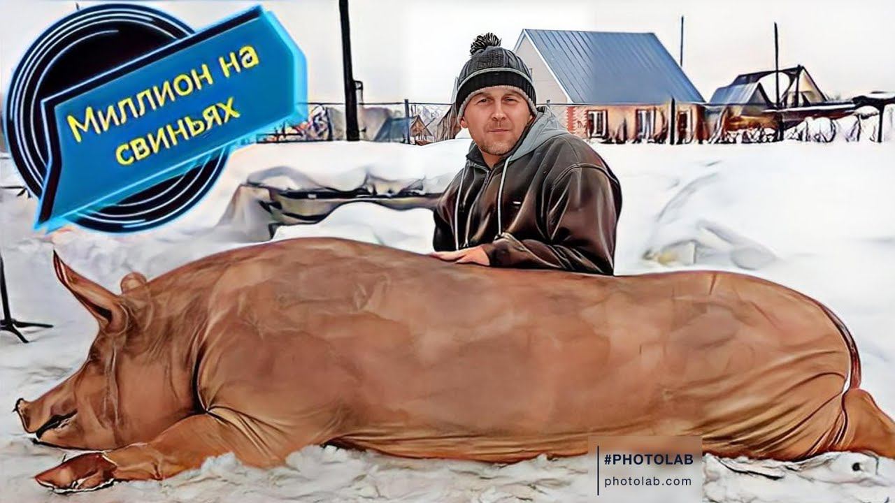 Вырезаю поголовье! Раскрываю правду о проблемах и болезнях на моём хозяйстве. смотреть онлайн