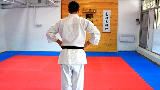 Ката Пинан Cоно Сан киокушинкай каратэ So-Kyokushin karate/ Kata Pinan sono san смотреть онлайн