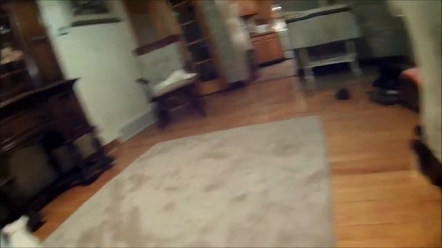 Pit Bull attacking смотреть онлайн