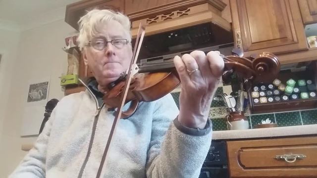 J. S. Bach - Concerto for Two Violins in A Minor (sort of ...) ; Old Violin, then New смотреть онлайн