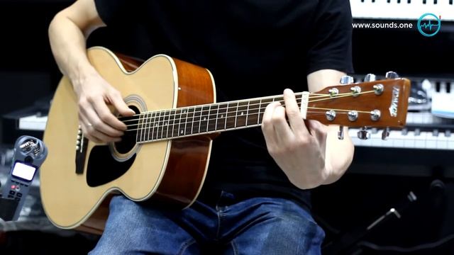 Homage LF-4021 - пример звучания недорогой китайской гитары | sound test demo смотреть онлайн