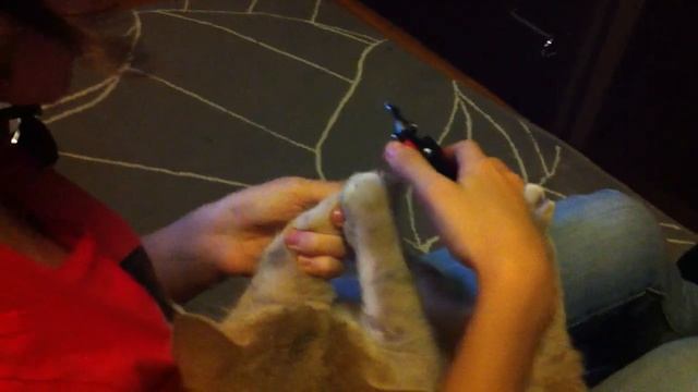 Коту Моне стригут когти смотреть онлайн