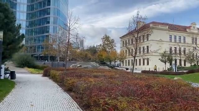 Обсуждать планы насчет детей с посторонними? Природа любопытных | Olinka смотреть онлайн