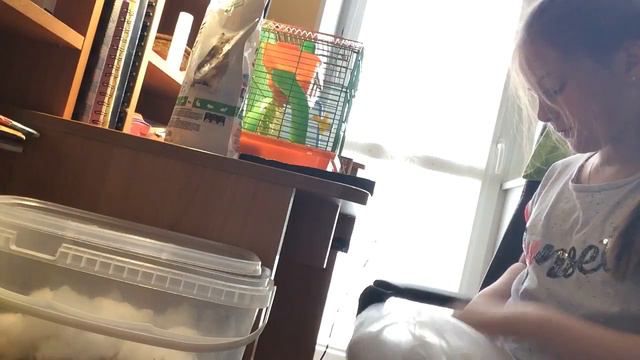 Рубрика НЕДЕЛЯ ХОМЯКА убираюсь в клетке хомяка!!! ( 3 часть ) смотреть онлайн
