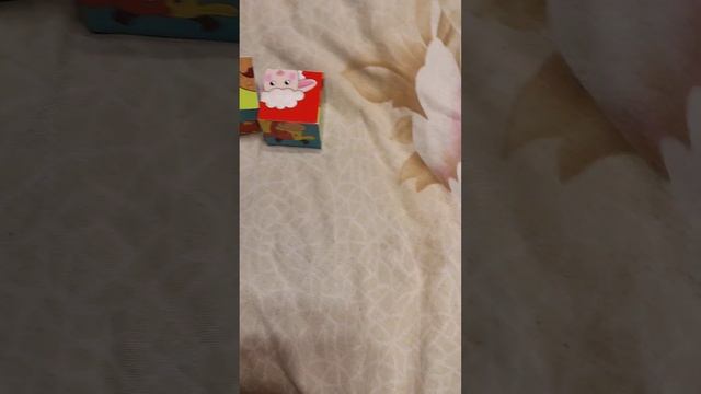 БАСИК в красном свитере И КУБИКИ. цветные картинки животных.игра. BASIK AND DICE. смотреть онлайн