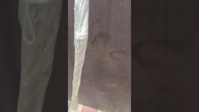 Упаковка саженцев Бычьего глаза смотреть онлайн