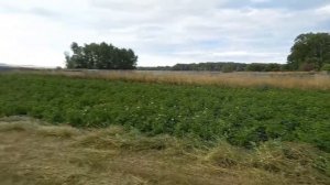 Роторная косилка Меткарсан  МК165.