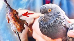 8 ЛАЙФХАКОВ ДЛЯ БОМЖЕЙ!!!