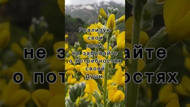 08.07.2023 смотреть онлайн