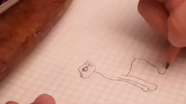 Рисую дикую кошку смотреть онлайн