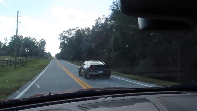 Nick Murray Visits FL: Drives GT350 and Raptor смотреть онлайн