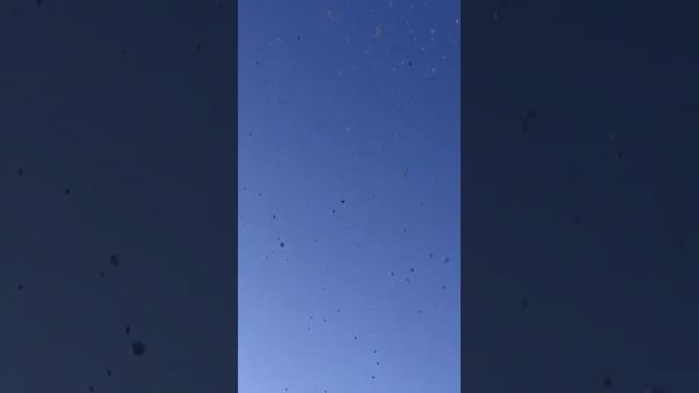 Кемерово, мы с Вами Скорбим. Г. Орехово-Зуево смотреть онлайн