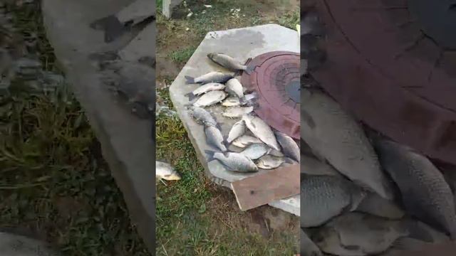 Кулда тутди смотреть онлайн