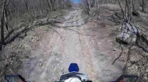 Рейсер пантера 250 обкатка.