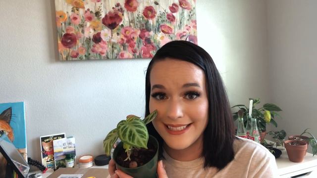 RARE HOUSEPLANT UNBOXING | First Ever Anthurium смотреть онлайн