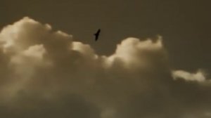 Enigma - Callas Went Away (Official Video)