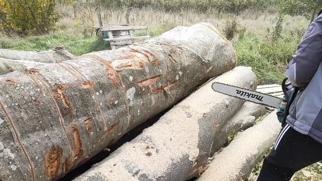 Makita ea 7900- big wood and perfect weapon??? смотреть онлайн