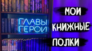 Обзор на мои КНИЖНЫЕ ПОЛКИ