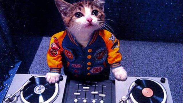 Tecktonik Dance Music Mix Part 1 смотреть онлайн