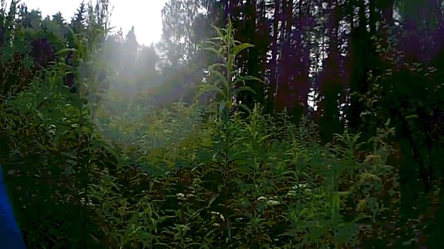 Покатушки на самодельном квадрике по лесу смотреть онлайн