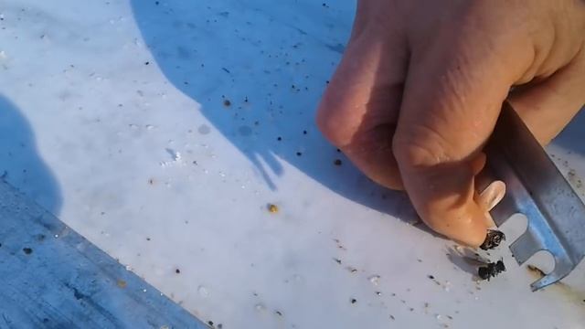 Ну что, посчитаем? смотреть онлайн