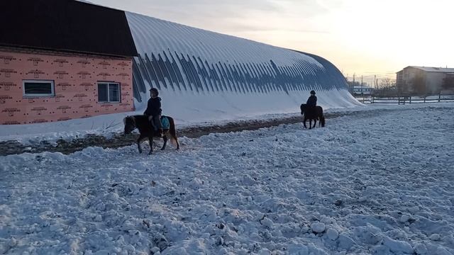 Тренировка на открытом грунте смотреть онлайн