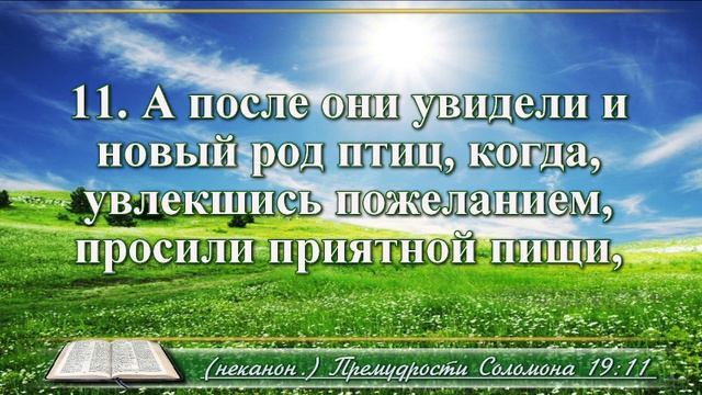 Книга премудрости Соломона с музыкой глава 19 читаем и слушаем смотреть онлайн