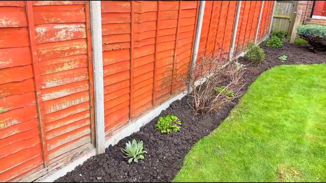 Kameliya gullapti смотреть онлайн