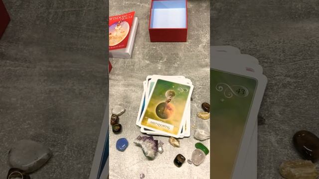Unboxing Wisdom of the Oracle смотреть онлайн