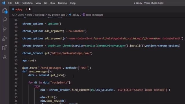 WhatsApp Automation dengan Selenium dan Python смотреть онлайн