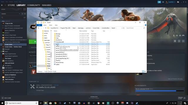 Save Your Game! Backup save files, PC and PS4 | Conan Exiles 2020 смотреть онлайн