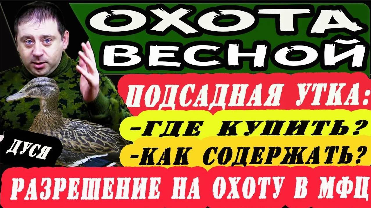 Купил подсадную утку, что делать. Разрешение на охоту в МФЦ. Подготовка к открытию охоты. смотреть онлайн