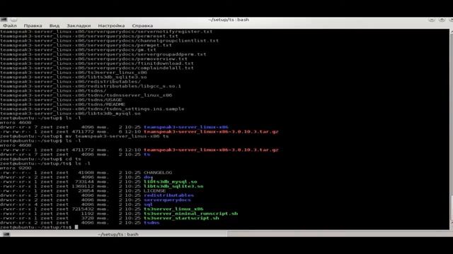 Установка TeamSpeak 3 Server на Linux/Debian/Ubuntu смотреть онлайн