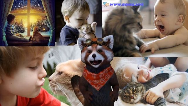 Кошки. Человеку нужен кот. Очень добрый душевный стих. смотреть онлайн