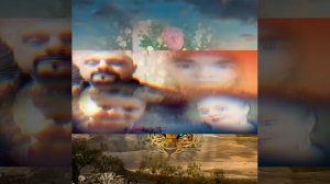 Рикардо квик