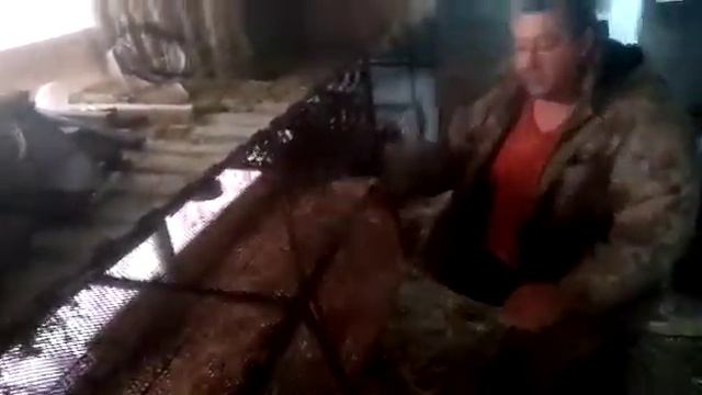 Идеальные клетки для нутрий смотреть онлайн