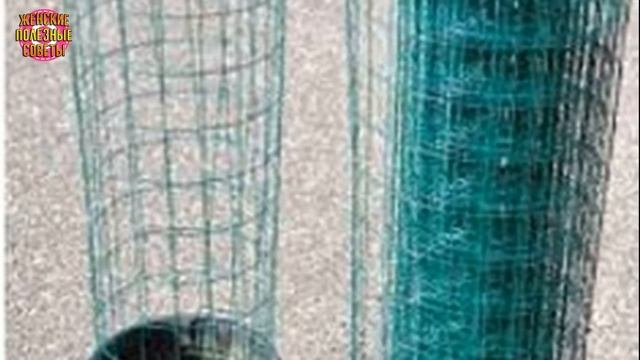 Я УСТАНОВИЛА пластиковую гофру в почву, через 3 недели все ахнули, увидев, что из этого получилось! смотреть онлайн