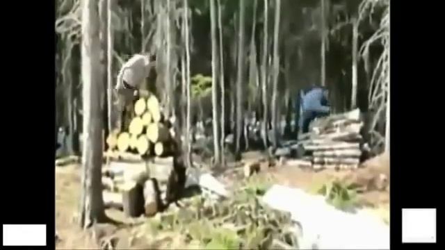 Смешное видео! Приколы над людьми Салют! смотреть онлайн