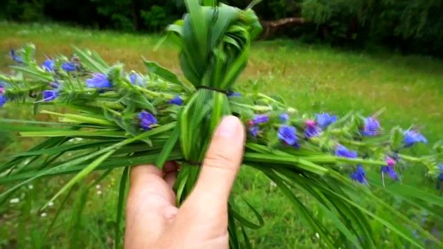 Травяная кукла Русалка смотреть онлайн