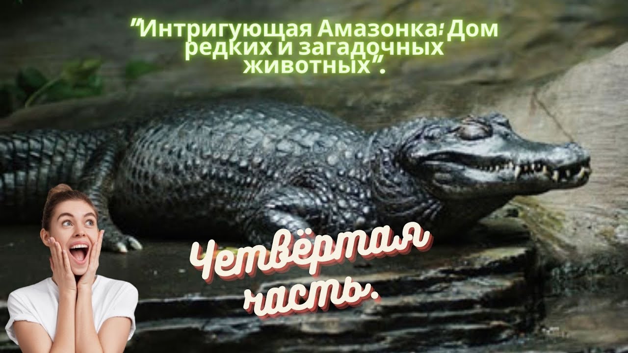 _Интригующая Амазонка_ Дом редких и загадочных животных_.Четвёртая часть.