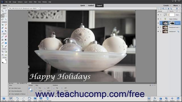 Learn About Bitmap Images in Adobe Photoshop Elements 2022: A Training Tutorial смотреть онлайн
