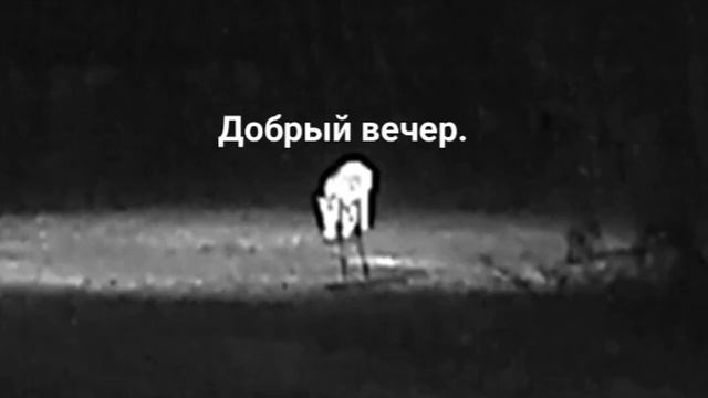 Кабанчик. Вышка.Чего снял? Охота 2022г..mp4 смотреть онлайн